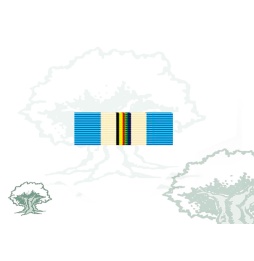 Pasador Medalla de la ONU (UNTAG) Rodmen escalable