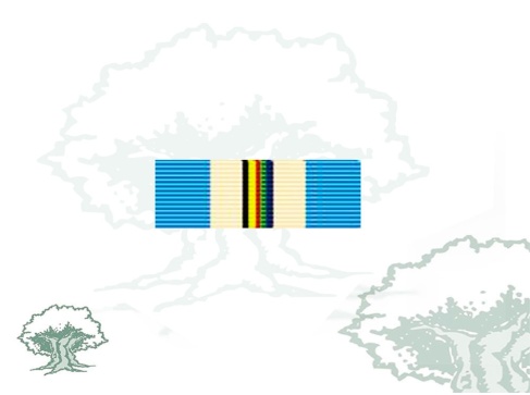 Pasador Medalla ONU (UNTAG) Rodmen escalable