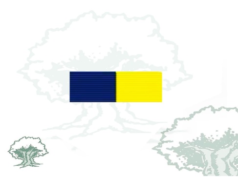 Pasador Medalla OSCE Grupo Planeamiento Alto Nivel (HLPG) Rodmen escalable