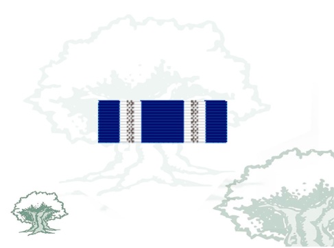 Pasador Medalla de la OTAN (Afganistan, Paquistan) Rodmen escalable