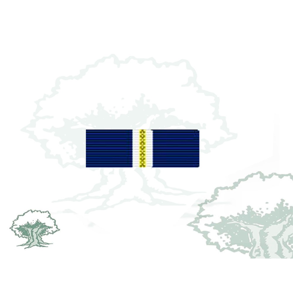 Pasador Medalla de la OTAN (Eagle Assist) Rodmen escalable