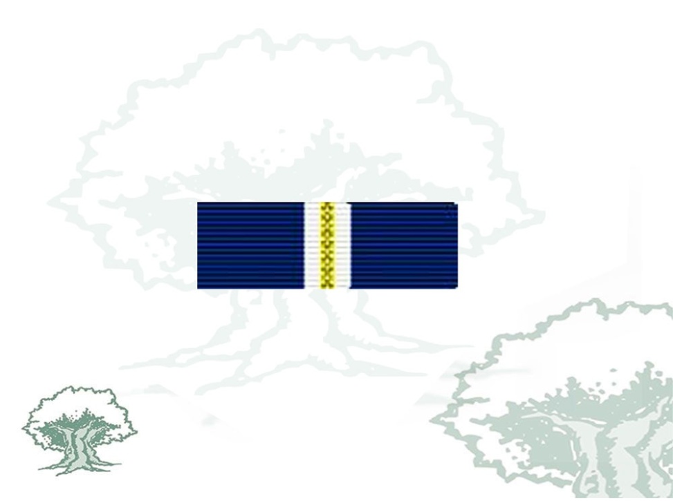 Pasador Medalla OTAN (Eagle Assist) Rodmen escalable