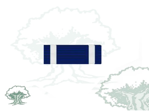 Pasador Medalla de la OTAN (Former Yugoslavia) Rodmen escalable