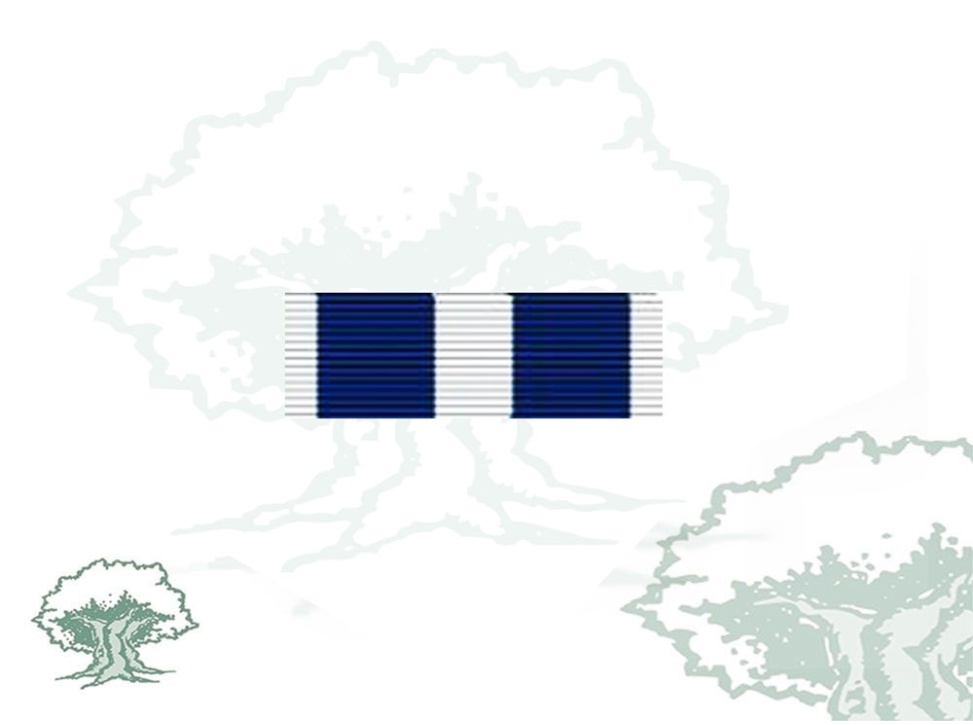 Pasador Medalla OTAN (Kosovo) Rodmen escalable