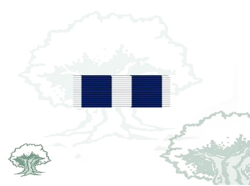 Pasador Medalla de la OTAN (Kosovo) Rodmen escalable