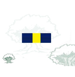 Pasador Medalla de la PESD (Cuartel General y Fuerzas) Rodmen escalable
