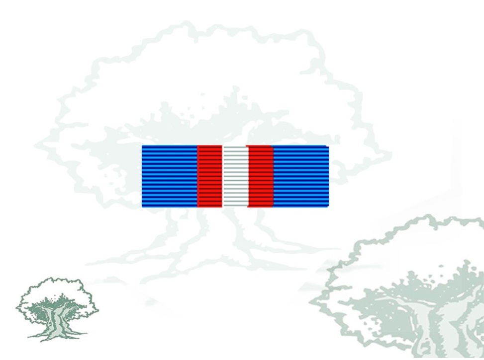 Pasador Medalla SHIRBRG Rodmen escalable