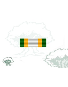 Pasador Medalla Union Africana Rodmen escalable