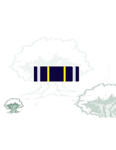 Pasador Medalla Union Europea para Antigua Yugoslavia Rodmen escalable