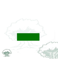 Pasador Medalla Mutilado Rodmen escalable