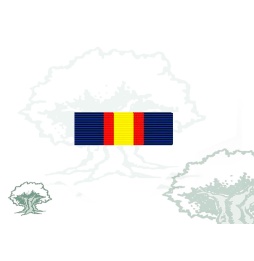 Pasador Medalla Naval individual de la colectiva Rodmen escalable