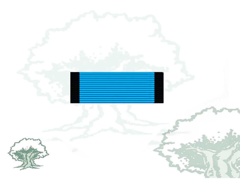 Pasador Medalla Sahara teatro de operaciones Rodmen escalable