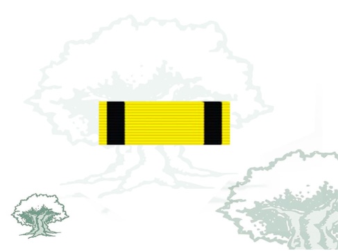 Pasador Orden Civil de Sanidad Rodmen escalable