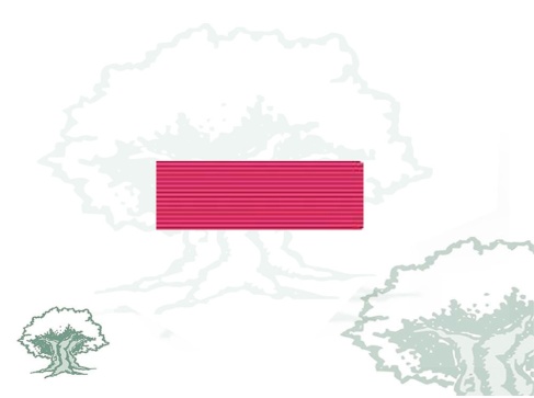 Pasador Orden de la Solidaridad Social Rodmen escalable