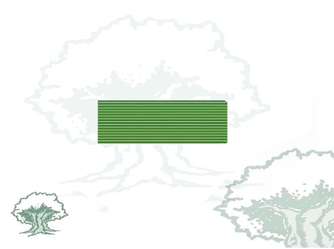Pasador Orden del Mérito Agrario Pesquero y Alimentario Rodmen escalable Pasador Orden del Mérito Agrario Pesquero y Alimentario Rodmen escalable