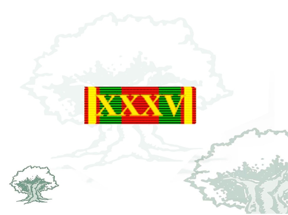 Pasador Placa Dedicación Policial Rodmen escalable