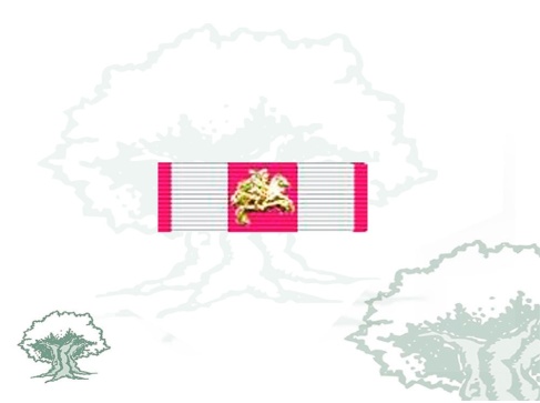 Pasador Placa Real y Militar Orden de San Hermenegildo Rodmen escalable