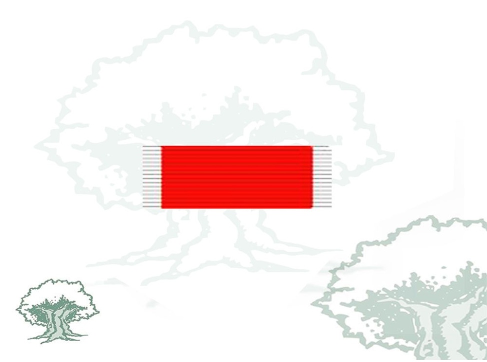 Pasador Real Orden Reconocimiento Civil Víctimas del Terrorismo Rodmen escalable