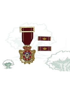 Medalla Ciudad de Ciudad Real