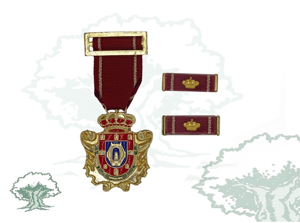 Medalla Ciudad de Ciudad Real