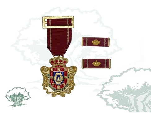 Medalla Ciudad de Ciudad Real