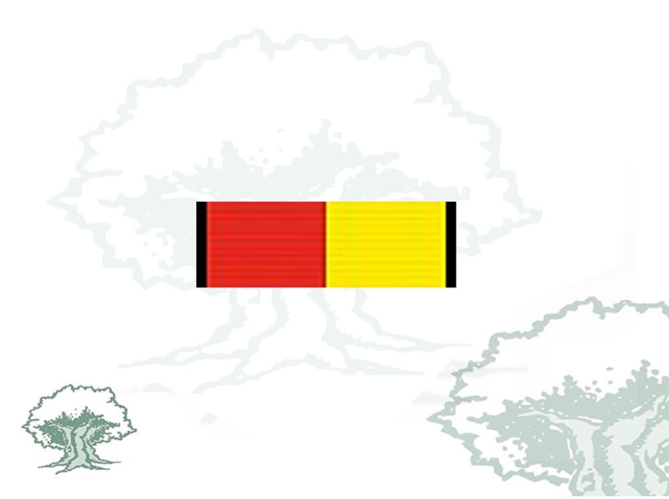 Pasador Medalla Operación Balmis