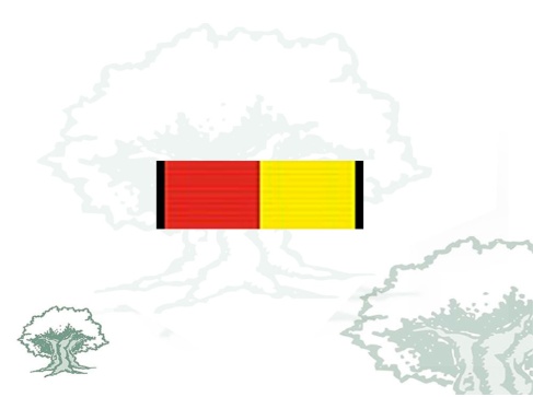 Pasador Medalla Operación Balmis