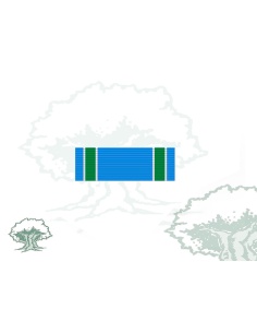 Pasador Medalla conmemorativa Centenario Virgen del Pilar patrona Guardia Civil