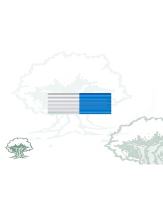 Pasador Medalla Cruz Centenario Santa Teresa de Jesús