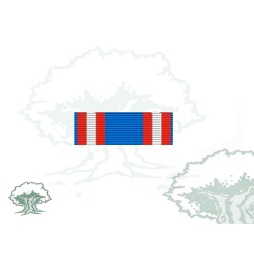 Pasador Medalla conmemorativa IV Centenario Batalla de Lepanto