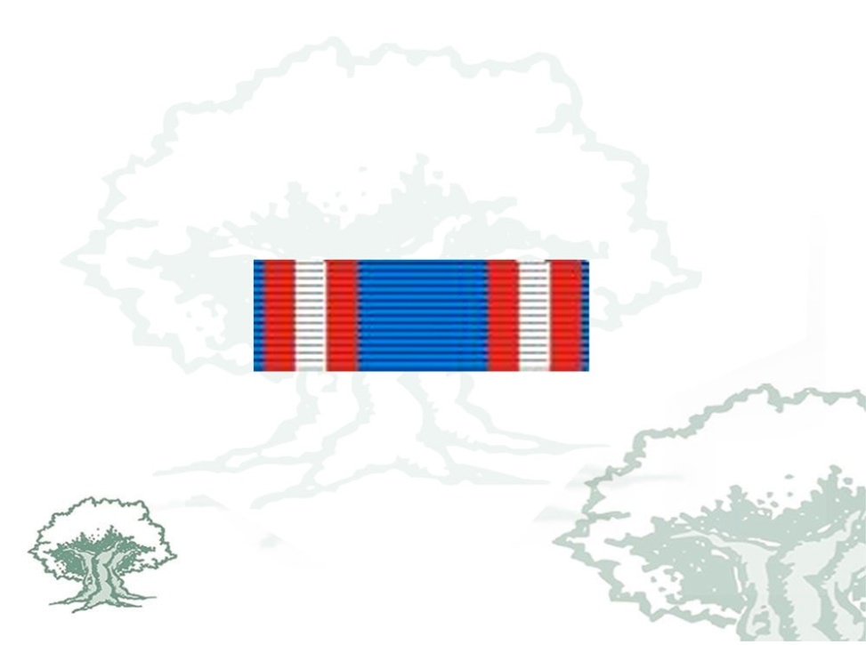 Pasador Medalla IV Centenario Batalla de Lepanto