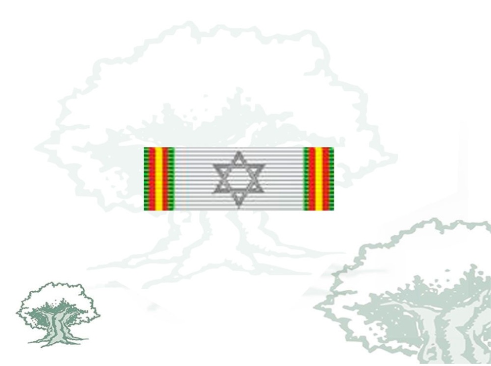 Pasador Medalla Paz de Marruecos