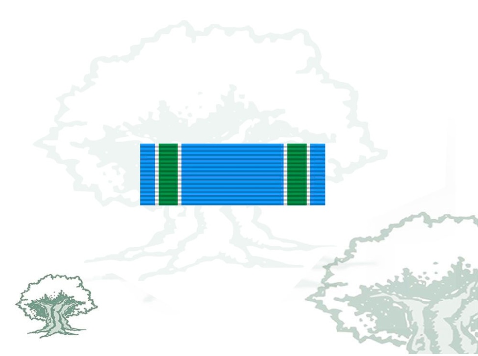 Pasador Medalla Centenario Virgen del Pilar patrona Guardia Civil Rodmen escalable