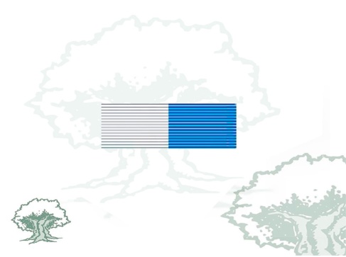 Pasador Medalla conmemorativa Cruz del Centenario de Santa Teresa de Jesús Rodmen escalable