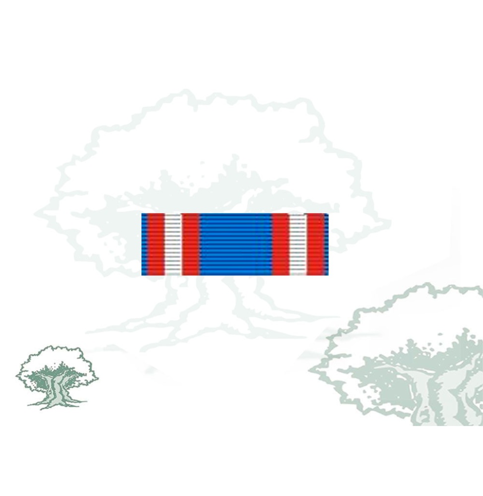 Pasador Medalla conmemorativa IV Centenario Batalla de Lepanto Rodmen escalable