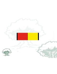 Pasador Medalla V Centenario Santa Bárbara