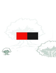 Pasador Medalla conmemorativa V Centenario Santa Bárbara Rodmen escalable