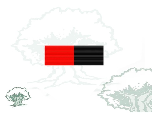 Pasador Medalla conmemorativa V Centenario Santa Bárbara Rodmen escalable