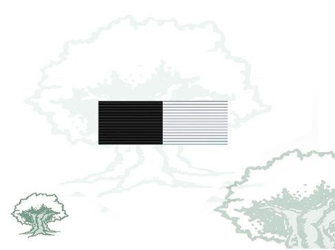 Pasador Medalla Ciudad de Ceuta