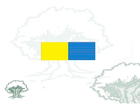 Pasador Medalla Ciudad de Algeciras