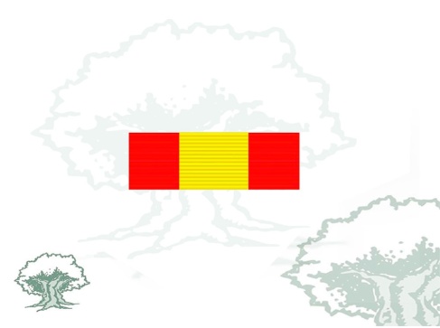 Pasador Medalla Donante de sangre