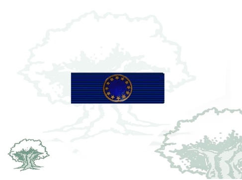 Pasador Medalla Excombatiente Europeo Pasador Medalla Excombatiente Europeo