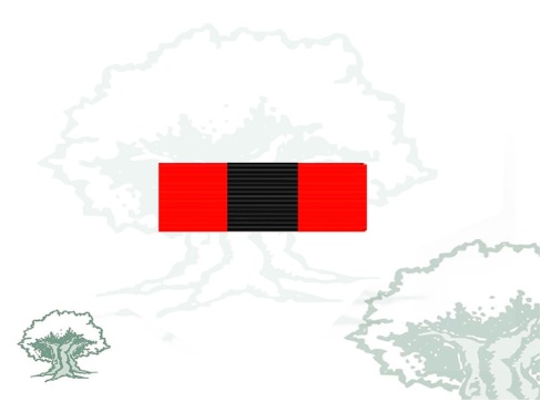 Pasador Gendarmeria Francesa Rodmen escalable