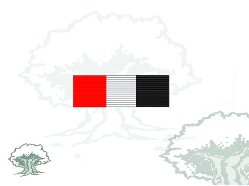 Pasador Medalla Irak