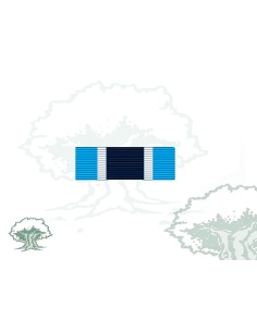 Pasador Medalla 50 Aniversario ONU