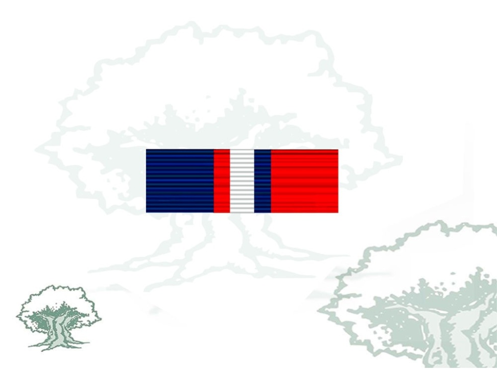 Pasador Medalla OTAN (Kosovo) nueva