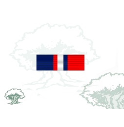 Pasador Medalla de la OTAN (Kosovo) nueva Rodmen escalable