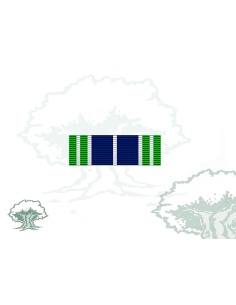 Pasador Medalla ONU (AFGANISTÁN)