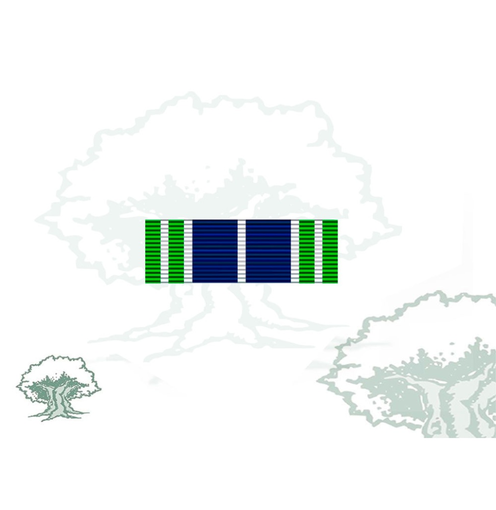 Pasador Medalla de la ONU (AFGANISTÁN)