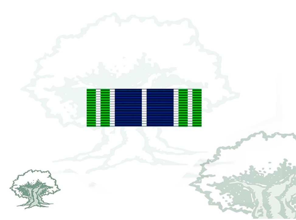 Pasador Medalla ONU (AFGANISTÁN)